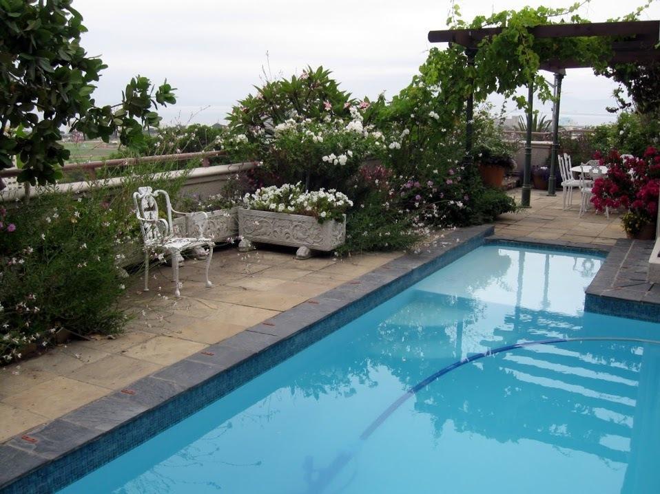 Apartment 123 Ocean View Drive *