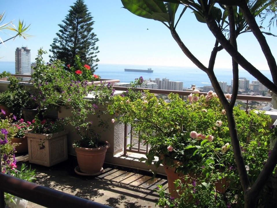 123 Ocean View Drive Cape Town